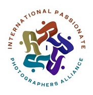 Leading Lines Photographic Society partner logo